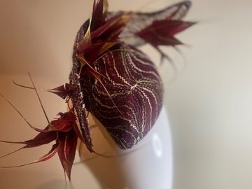 For Sale: Maroon percher with lace overlay and feather flowers 